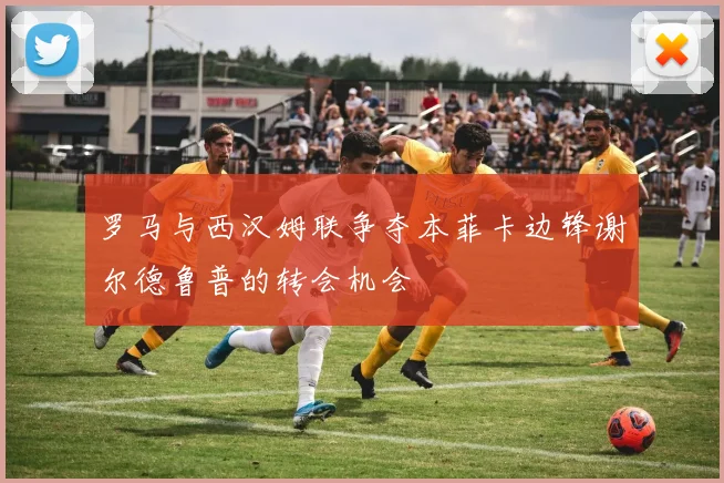 罗马与西汉姆联争夺本菲卡边锋谢尔德鲁普的转会机会